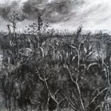 'Abbey meadow', charcoal on canvas, 20 x 20 cm., 2025