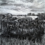 'Harvested', charcoal on canvas, 20 x 20 cm., 2025