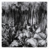 'A closer look', charcoal on paper, 30 x 30 cm., 2026