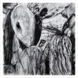 'Cactus Life', charcoal on paper, 30 x 30 cm., 2026