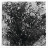 'Dots', charcoal on paper, 30 x 30 cm., 2026