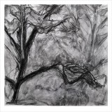 'First row', charcoal on paper, 30 x 30 cm., 2026