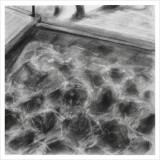 'Glitter', charcoal on paper, 30 x 30 cm., 2026