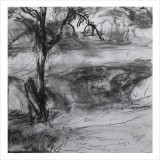 'Strong Tree', charcoal on paper, 30 x 30 cm., 2026