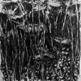 'Nature I', charcoal on paper, 60 x 60 cm. 2019