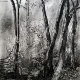 'Nature takes over', charcoal on paper, 65 x 50 cm., 2025