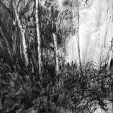 'View on the line', charcoal on paper, 60 x 50 cm., 2025