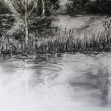 'Watching the trees', 50 x 65 cm., charcoal on paper, 2024